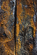 Patina 47